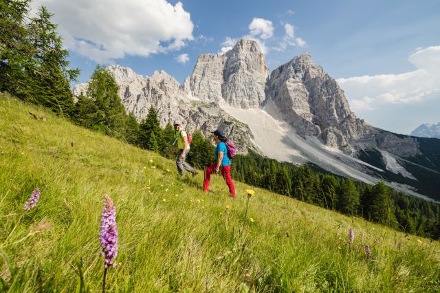 Immagine: Garni Al Barance